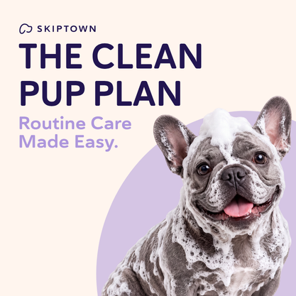 the Clean Pup Plan