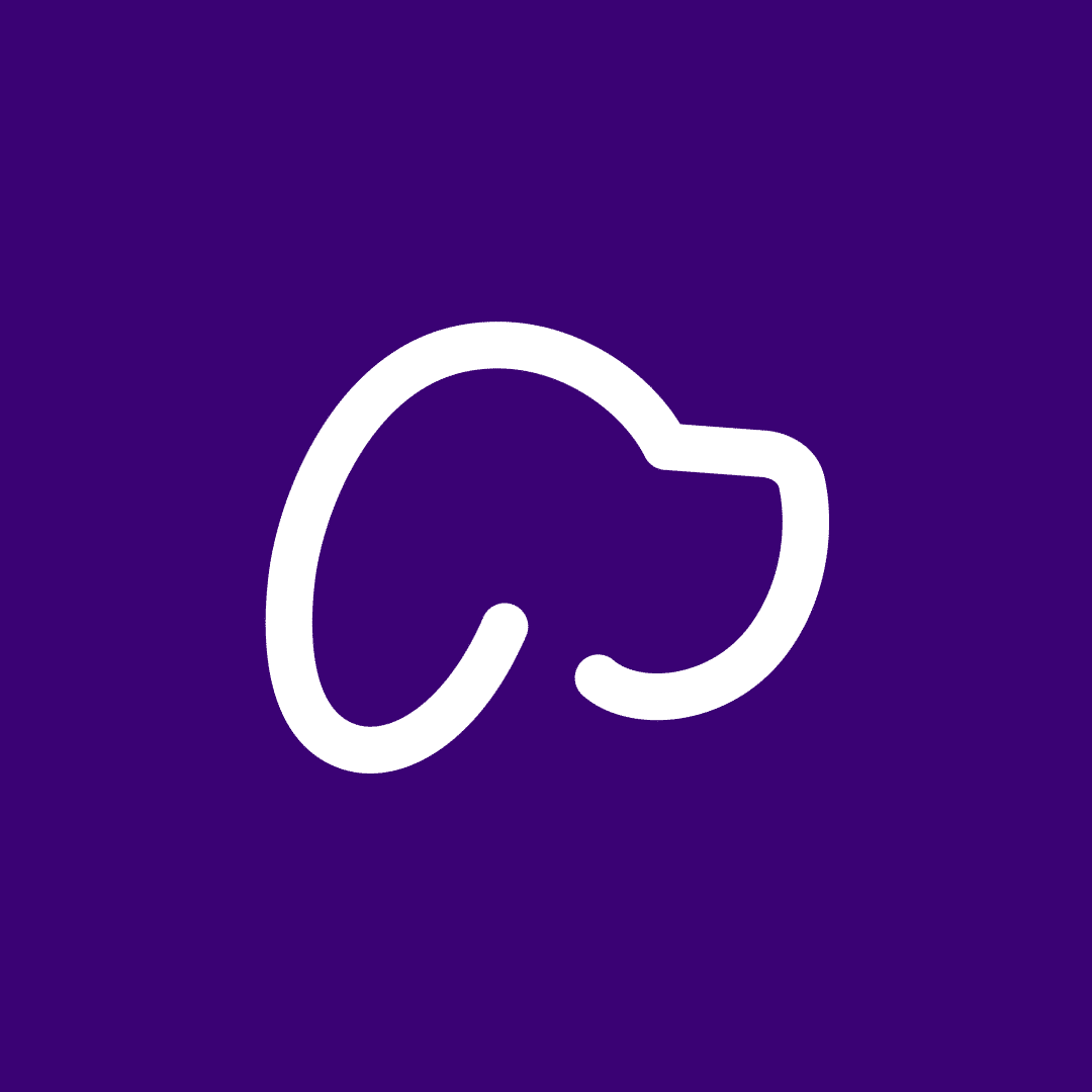 Skiptown logo