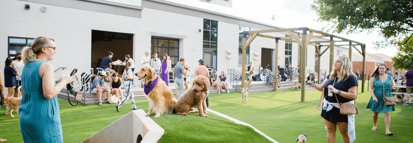 Adoption Event with Humane Society of Charlotte Skiptown