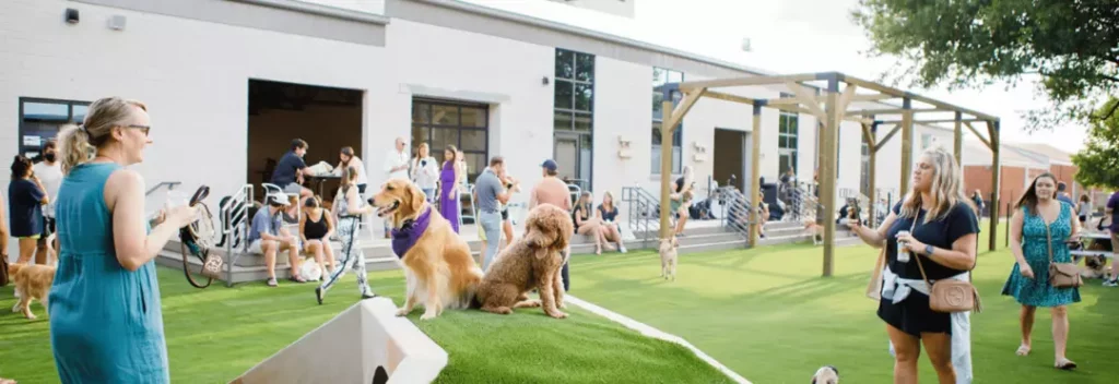 Spots for Pups and People in Charlotte, NC