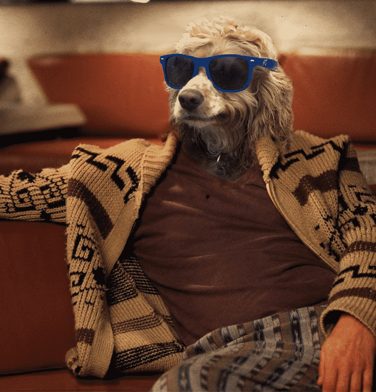 the big lebowski dog