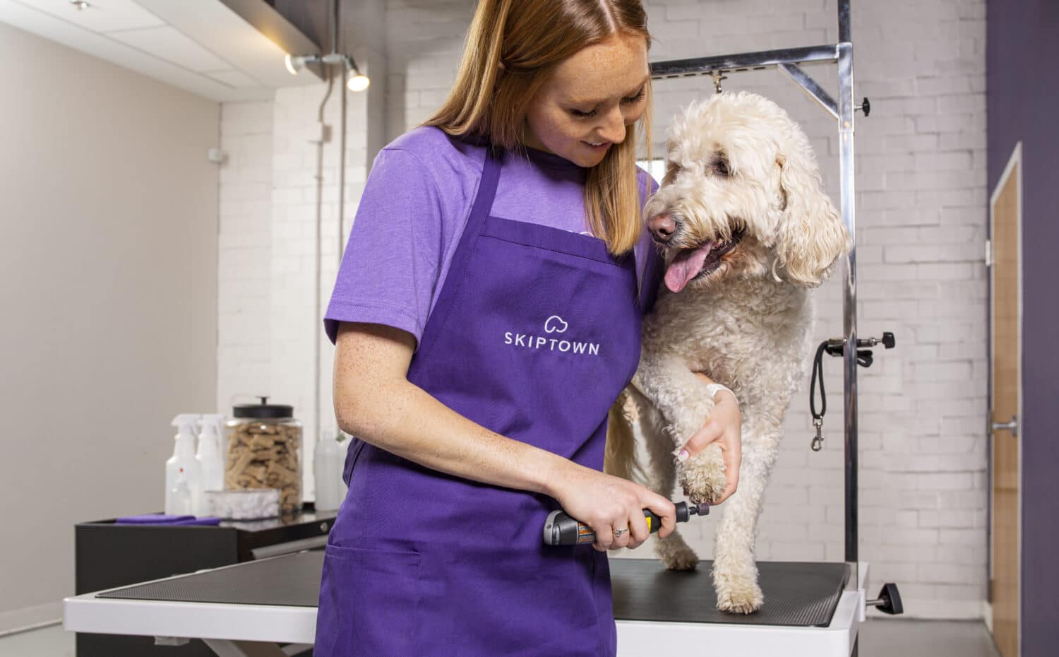 The Benefits of Professional Dog Grooming at Skiptown