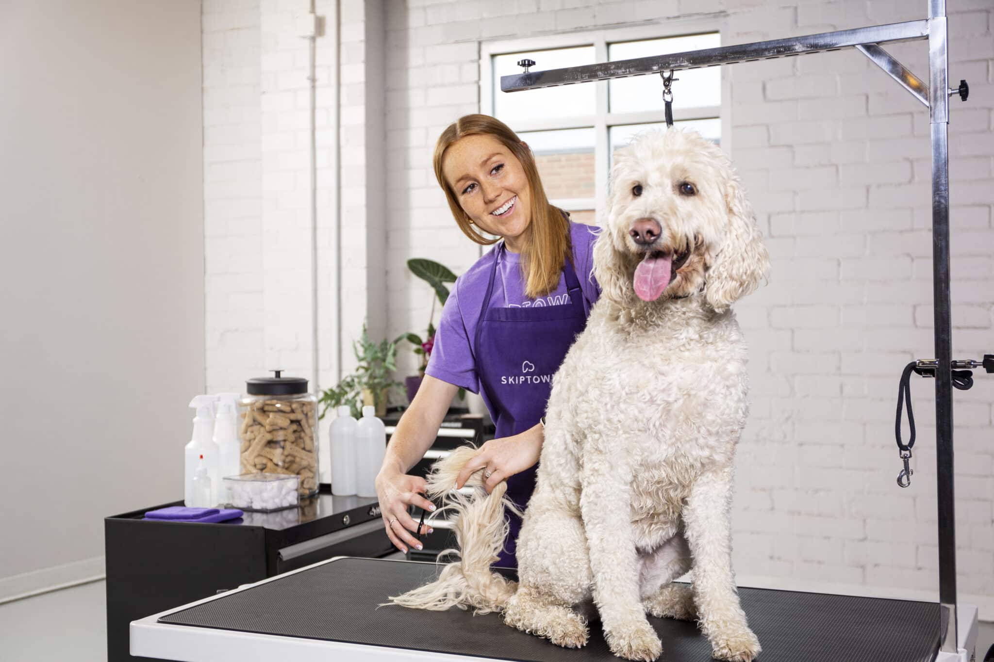 A smiling dog being groomed by a charlotte dog groomer