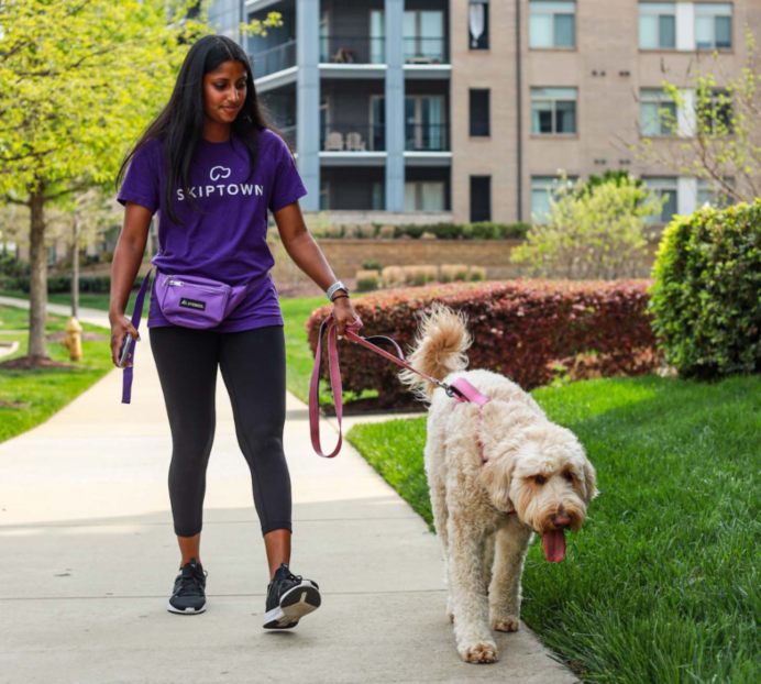 A lady walking a dog on the sidewalk in Charlotte, NC