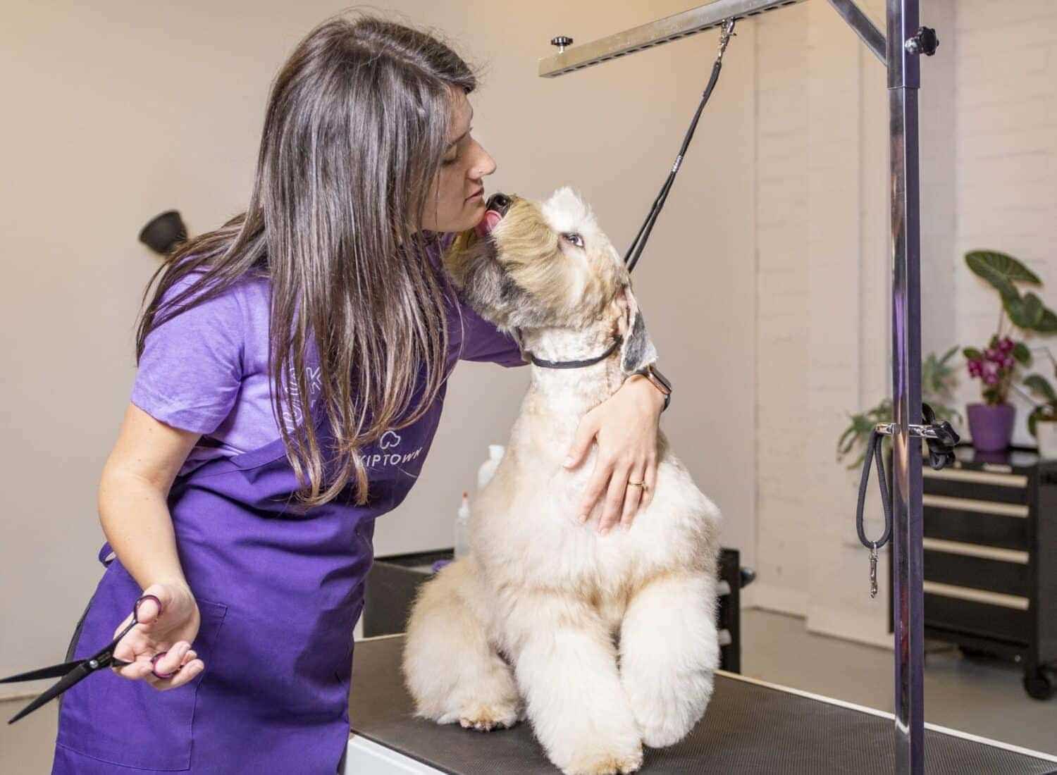 Skiptown employee grooming a dog at their center in Charlotte, NC