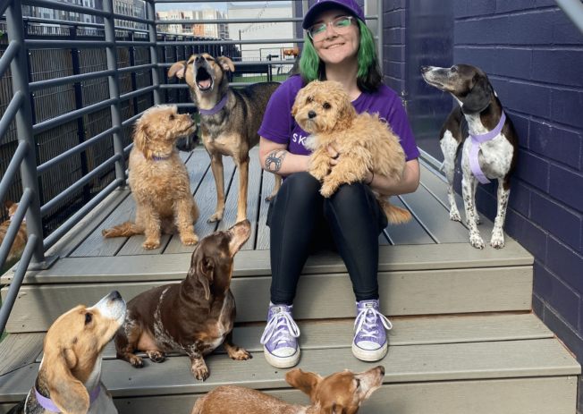 A lady holding a small pet dog while other dogs look at her in Charlotte, NC