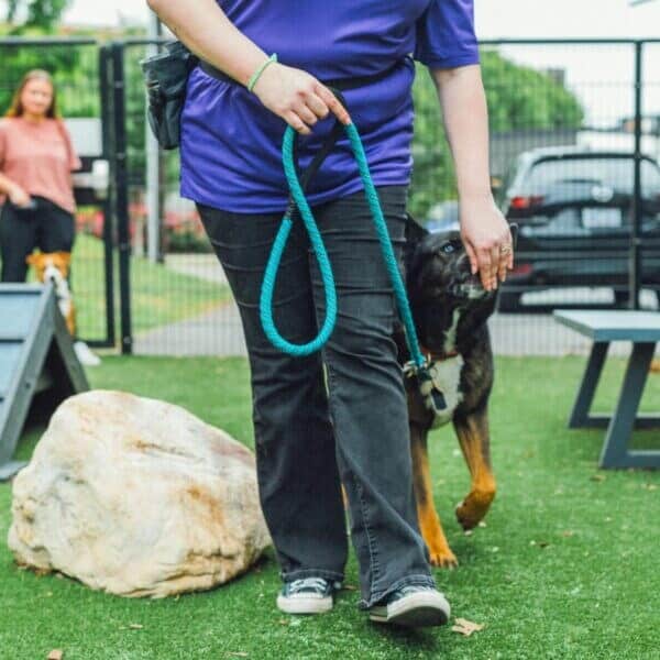 Man walking and petting a dog in a garden in Charlotte, NC