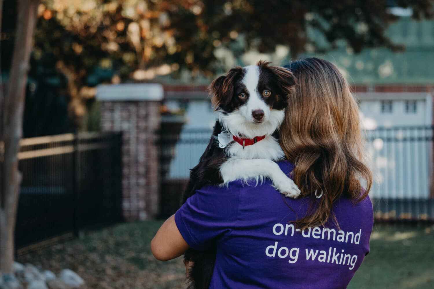 Team member of Skiptown walking a dog at a park in Charolotte, NC