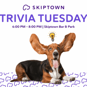 Skiptown Tuesday Trivia