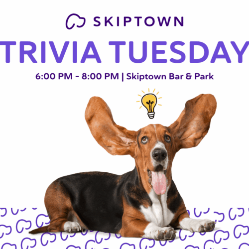 Skiptown Tuesday Trivia