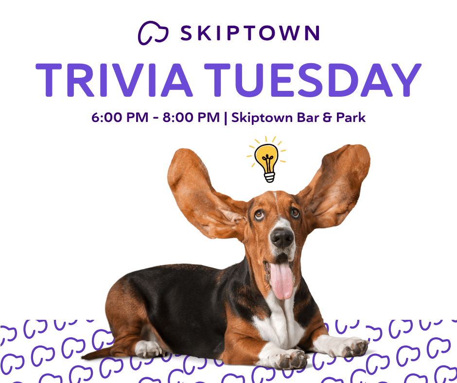Skiptown Tuesday Trivia