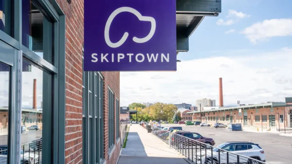 Skiptown signage
